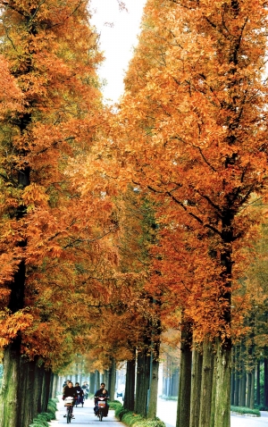 �P���Ѕ^���е��������ˡ����¡� 