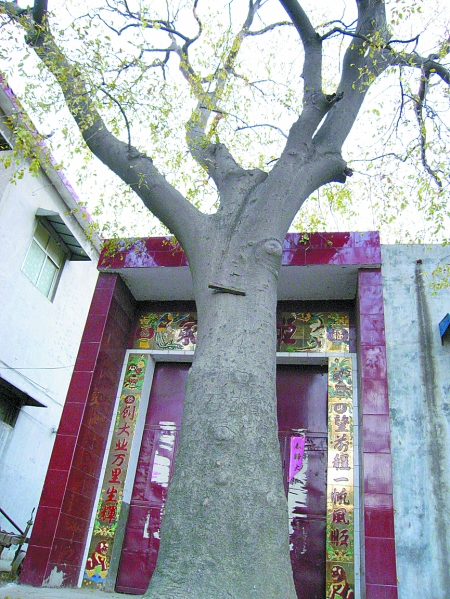 ���ϣ��������ס�T ����ۘ䡰�������x��