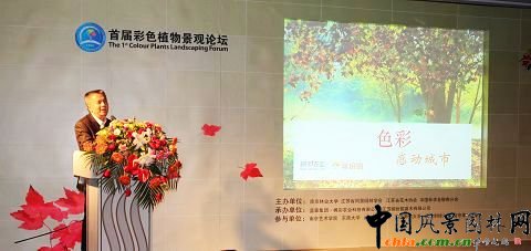 �׌ò�ɫֲ�ﾰ�^Փ��-�����r�I�����L��Ⱥ������