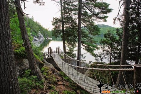 2010�������סլ���^�OӋ���\���M�D��