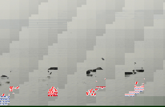 ������ͣ����ˮ�B������������