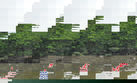 λ�ڱ��o�^���ą^�ļt���֣��h�h��ȥ��ˮ������һֻˮ�B