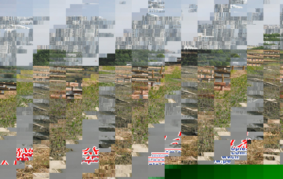 �����o�^���ą^��������ˮ�����顰�P���ӿڼt����ʾ���ޏ͹��̡��M�ɲ��ֵ���ˮ̎��S���ڽ��O���AӋ��׽��ɽ������o�^�����ɺ���ˮ��̎�����������ں�