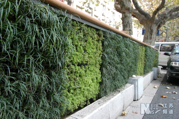 南京建成立體式綠島 草坪住上“樓房”