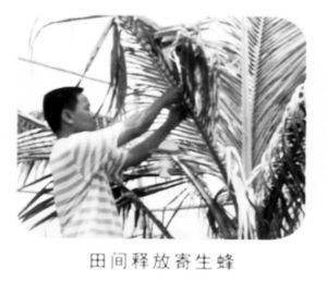 ���gጷż��������Ҭ���~��