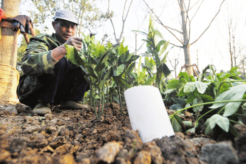 С�Έ@�ȵİ�ɫ���܌��𵽿����ͷ��������á�