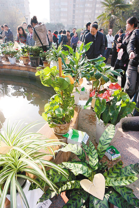 ���������̼��(hu��)��(ch��ng)����(d��o)���@�Gʮ�l