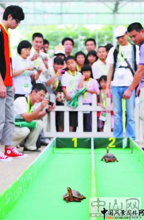 �V�|���Ϸ��G���@��Ͷ11�|Ԫ���U�ݡ�