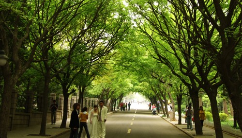 �o�a�����������B�@�ֳ�������һ�Ӳָ��