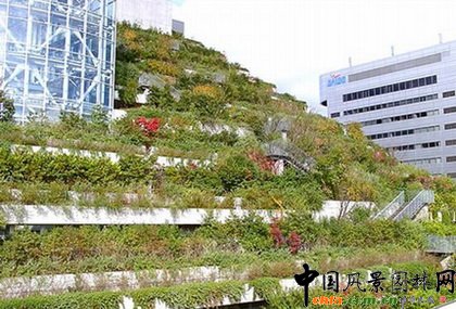 �ձ������G���