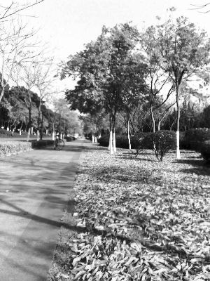 �M�ؽ��Sɫ�����~׌����ƽ����һ�z����