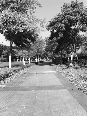 �M�ؽ��Sɫ�����~׌����ƽ����һ�z����