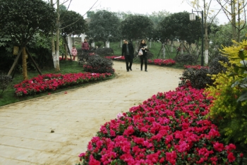 ���T�ι��@�ܡ����B��