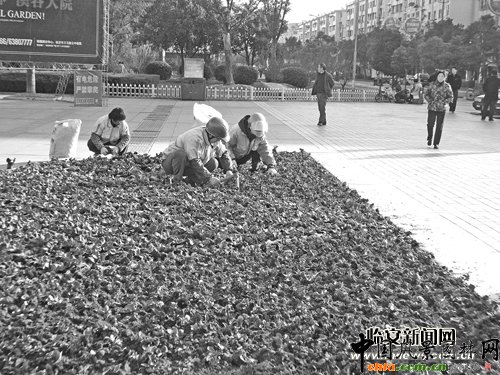 �㽭��12�f�趬���������ǅ^