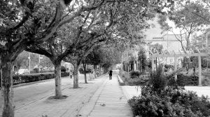 ��(chu��ng)������(gu��)��ɭ�ֳ��С����錤��Ⱥ���\�Ҹ�