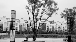 2013�ꌤ��hɭ�ָ��w���_(d��)46%����