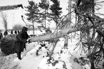 ����Ͷ�Y2�|Ԫ��ˮ��