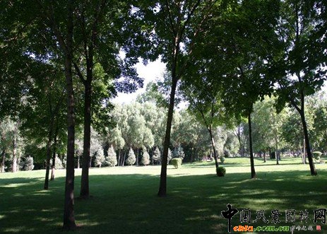 �@ұՓ������־������ֲ�ﾰ�^�ăr(ji��)ֵ�������v