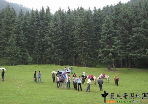 �@ұՓ������־������ֲ�ﾰ�^�ăr(ji��)ֵ�������v