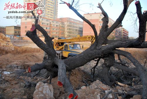 ���_(t��i)���Ř�(sh��)����Ҏ(gu��)���������(gu��)��������