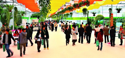 �������־���G�����������һ����Ƭ�� 