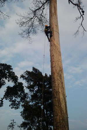 �����Ř�ǰ����ľ�ˆT�Ϙ������֦