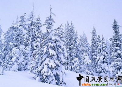 �Ꭷ���^���������^��ɳĮ���^���������^���ߺ��ξ��^���O�ؾ��^�������в�ͬ��