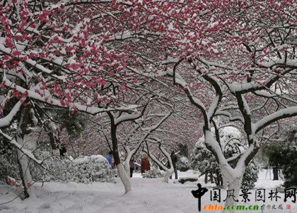 ֲ�ﾰ�^�ļ���׃��