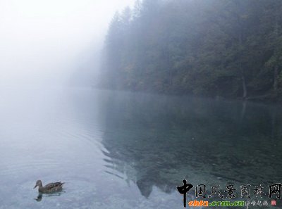 ����׃�� ���^��׃��