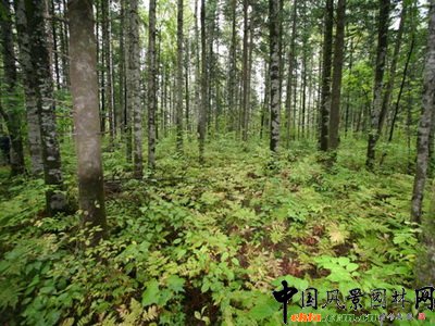 ����׃�� ���^��׃��