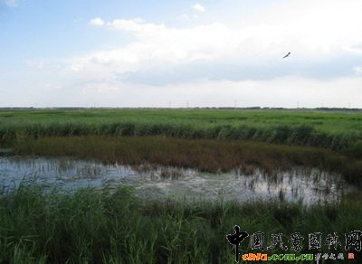 ���?q��)�ֲ�ﾰ�^��Ӱ�