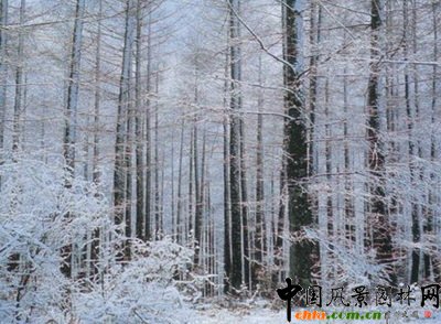 ���?q��)�ֲ�ﾰ�^��Ӱ�