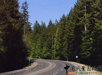 ���?q��)�ֲ�ﾰ�^��Ӱ�