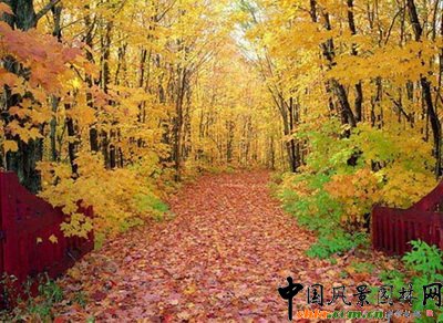 ���?q��)�ֲ�ﾰ�^��Ӱ�