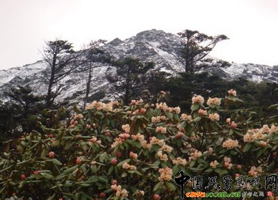 ���?q��)�ֲ�ﾰ�^��Ӱ�