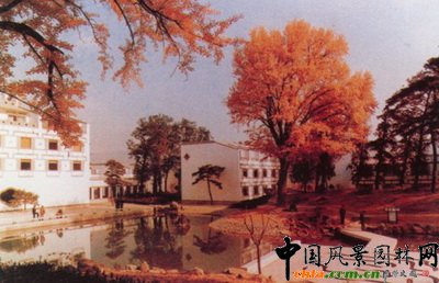 �����cɫ��