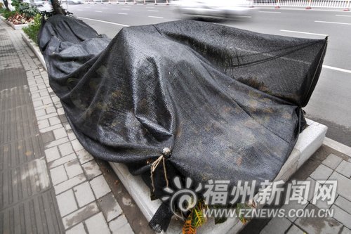 ���h(hu��n)·�L(zh��ng)�ڳǌ�(du��)�滨����,�@�ֹ����ˆT�o�º�ֲ�������˷�˪�ĺڲ���