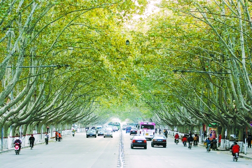 �Y�ψD ����������·�ķ�ͩ����Ŀǰ�����О锵(sh��)����Ĵ��