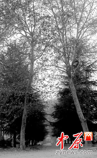 ͨ���S�^(q��)�����ɵ��������φT�����Q�顰���a�������