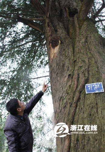 �㽭���x��һ��800��t��ɼ�Ř��℃Ƥ