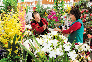 �Ї�&��12539;����׌���@ӭ�����ܹ�(ji��)ʢ���_Ļ