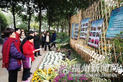 ���݈@�֌����v�⣺�G����_������m�˷N��Щֲ�