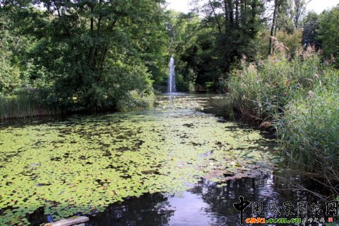 �u�ϵ�ˮ��Ҳ�����������ϧ�Ꭷֲ��