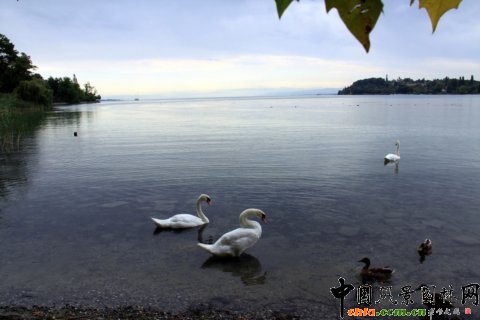 �u�ϱ������O����õ����B(t��i)�h(hu��n)������Ⱥ�����Z����ͯԒ