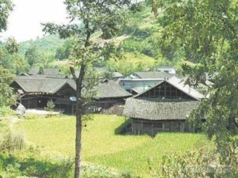 ���ĵ��Sɣƺһ�����C��