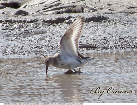 ��˹��ԓ�(xi��ng)Ŀּ���������������Ї�(gu��)��صė�Ϣ��