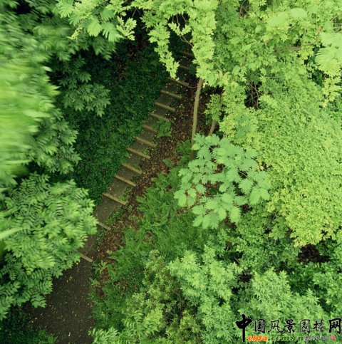 �_��˹����Ϫ���@