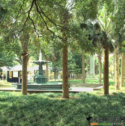 �頖˹�D�������V��