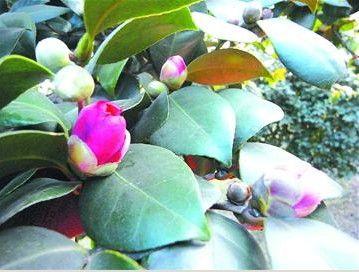 精彩圖集_游記攻略_風景旅游