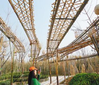 北林第二屆國際風(fēng)景園林師高峰論壇完美收官